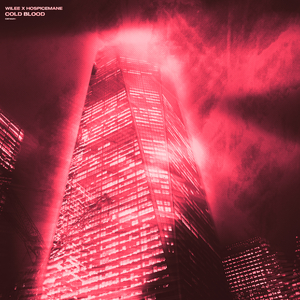 男男做视频孩儿
