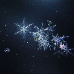 男男做视频孩儿
